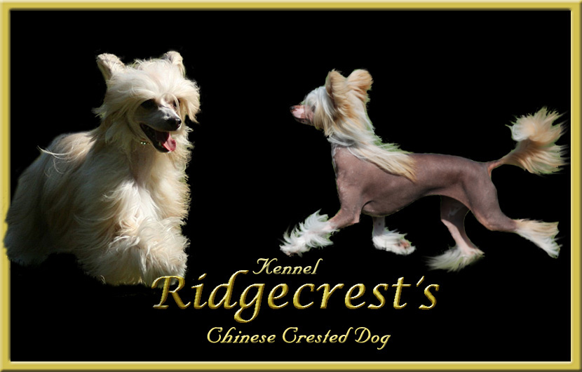 ad_Ridgecrest3gull.jpg