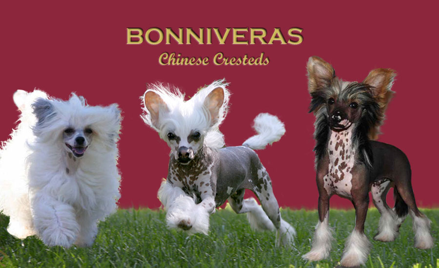 bonniveras.jpg